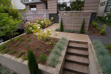 Photo of a small and australian native midcentury front yard partial sun formal garden for winter in Portland with a garden path and concrete pavers.