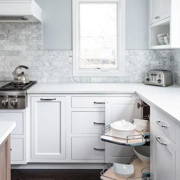 Transitional Kitchen and First Floor Leesburg Remodel - Naperville