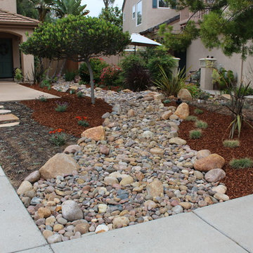 Dry River Bed