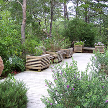 Side yard