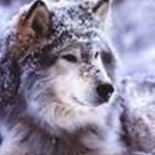 Beth Bonne's photo