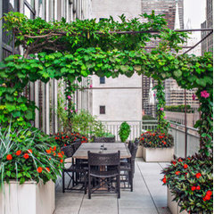 PlantUS NYC