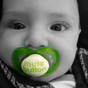 Lisa Horowitz Freedman's photo