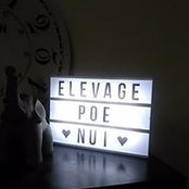 Elodie Poe Nui's photo