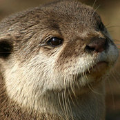 Foto von Otteroo