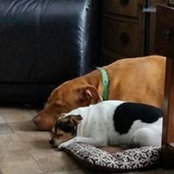 Cindy Gapinski Higley's photo