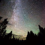 Gina Mizzoni's photo
