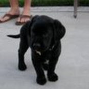 Chris Solis's photo