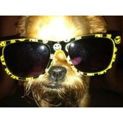 Sasha Vatoff's photo