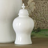 Beaufort Ginger Jar, White, Small