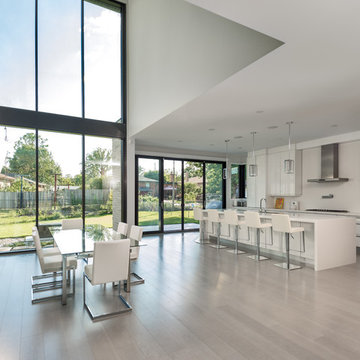 Southview Modern Home