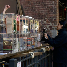 Little Free Libraries