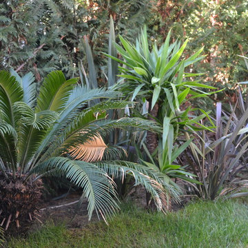 Area giardino tropicale
