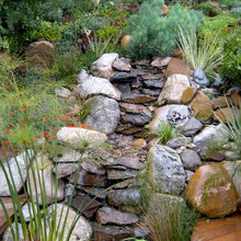 Pond