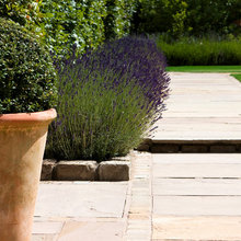 Italian Villa Landscape