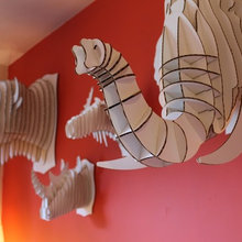 CARDBOARD SAFARI IDEAS