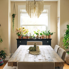 I - Indoor plants