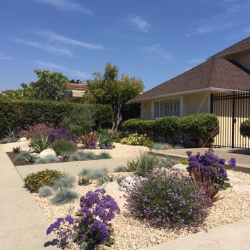Barefoot Landscape