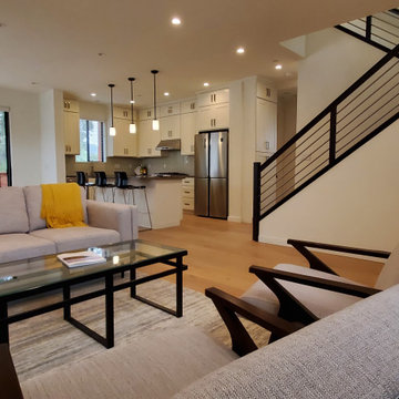 Santa Cruz Single Family with ADU - 8 Modules