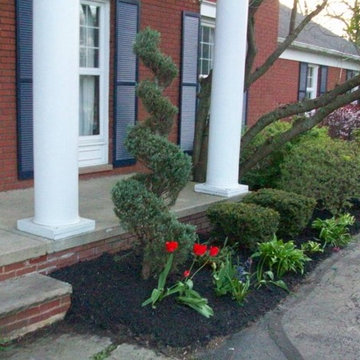Shaheen spring clean-up