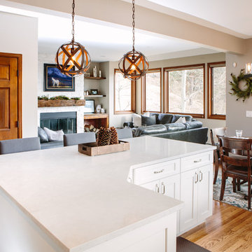 Pine Overlook Kitchen & Living Renovation