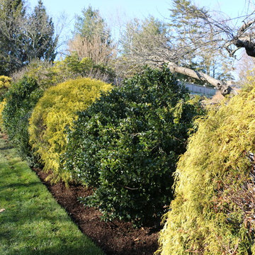 Privacy hedge