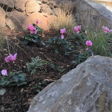 Sloped Entry garden