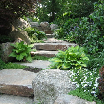 Family Oasis