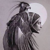 Nicole Frobusch's photo