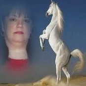 Gina McKay's photo