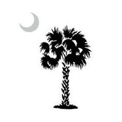Palmetto Interior Creations