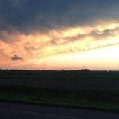 Taylor Hewson's photo