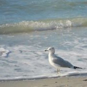 Julie Hine's photo
