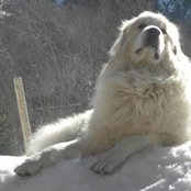 Cyril Tesseron's photo