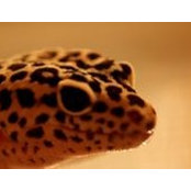 Pam Vick's photo