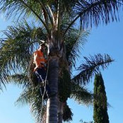 Jason Mcleod's photo