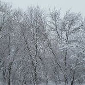 Ashley Miller's photo
