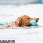 Susan Wrights foto