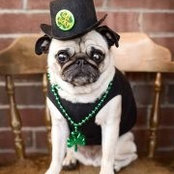 Kim Mooney's photo