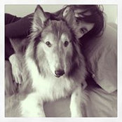 Lidia Mino's photo