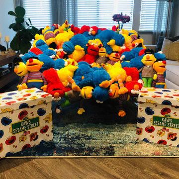 KAWS Special Addition Sesame Street Collection