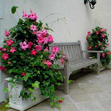 Containers - Summer