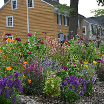 The Showstopping Garden