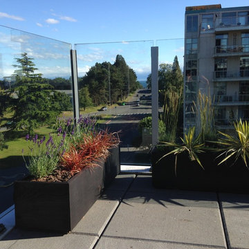 Patio James Bay