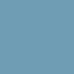 Bluebird Feather - Paint