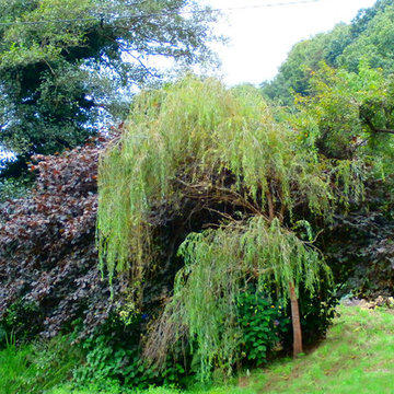 Jardín de Basi