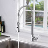 Luxier KTS13-T Single-Handle Pull-Down Sprayer Kitchen Faucet, Chrome