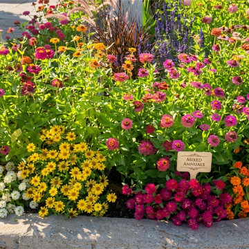 Landscaping