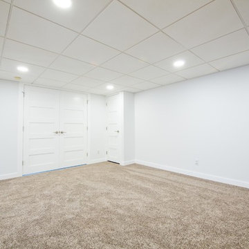Bright and Spacious Basement