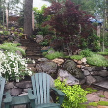 Backyard - hill